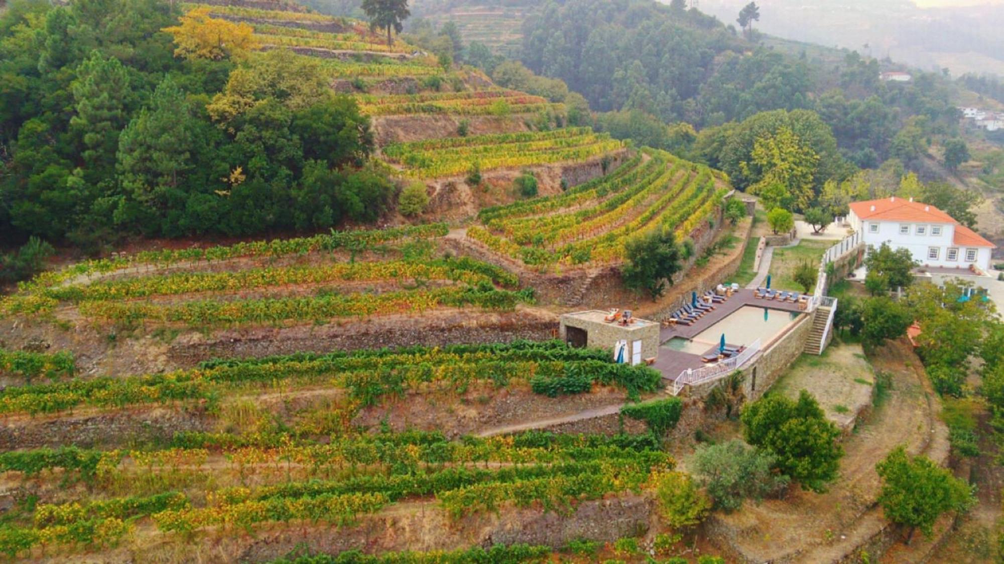 Quinta De Travassinhos- Douro Valley & Spa Santa Marta de Penaguião Exterior foto